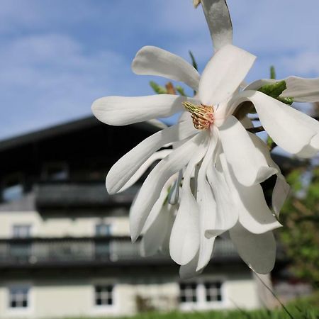Haus Brandstatter Leilighet Eben Im Pongau Eksteriør bilde