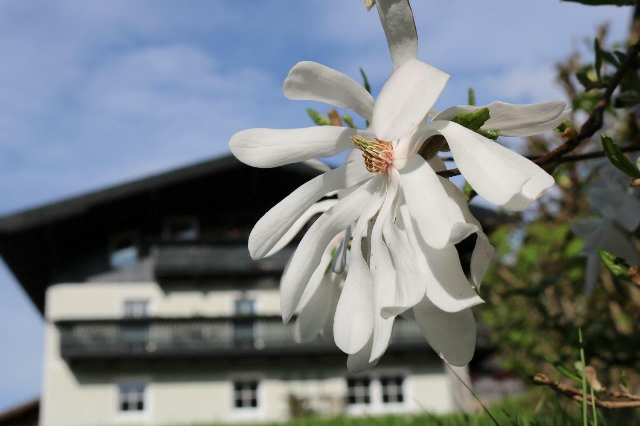 Haus Brandstatter Leilighet Eben Im Pongau Eksteriør bilde
